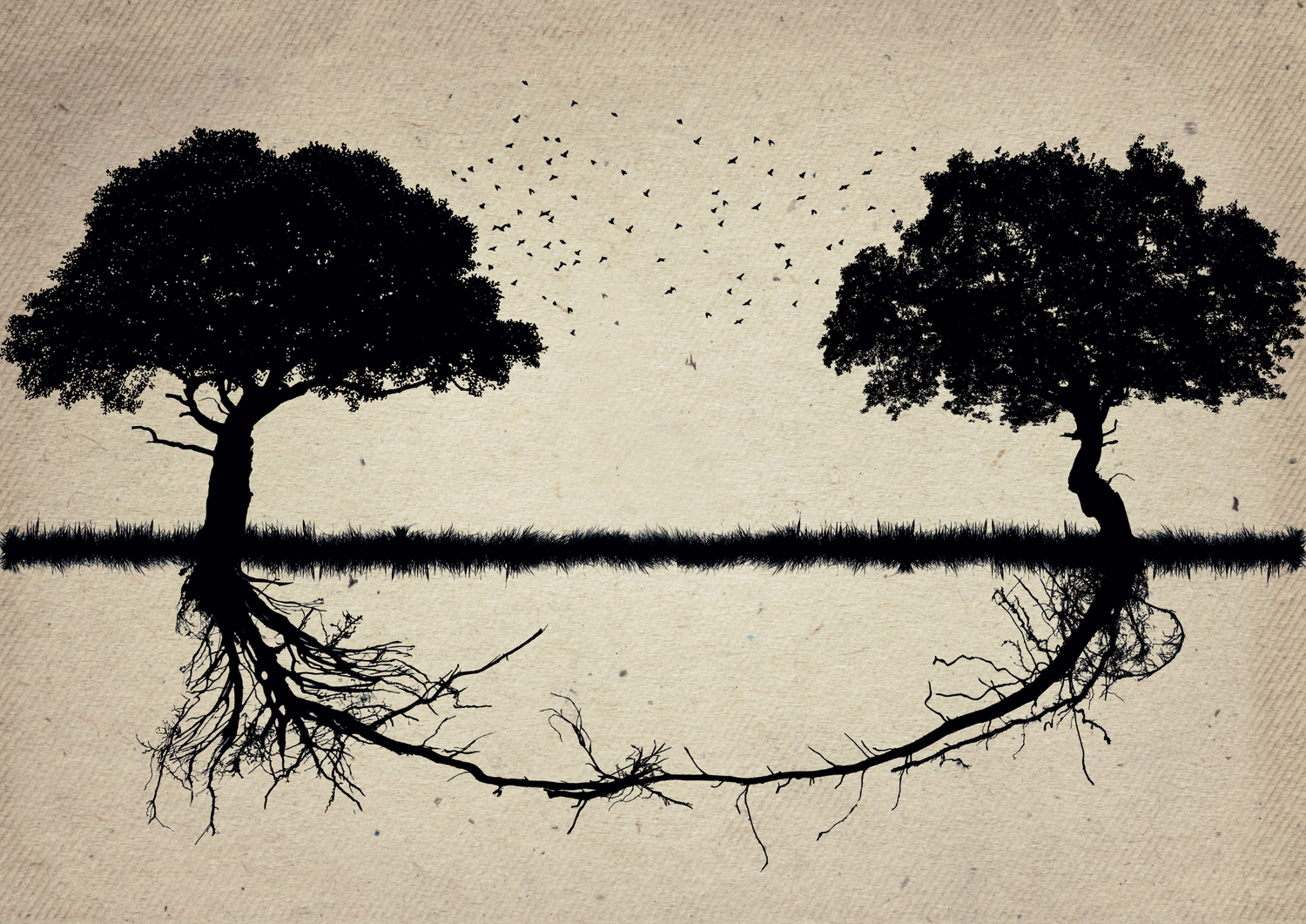 Metaphorical image of two trees connected together